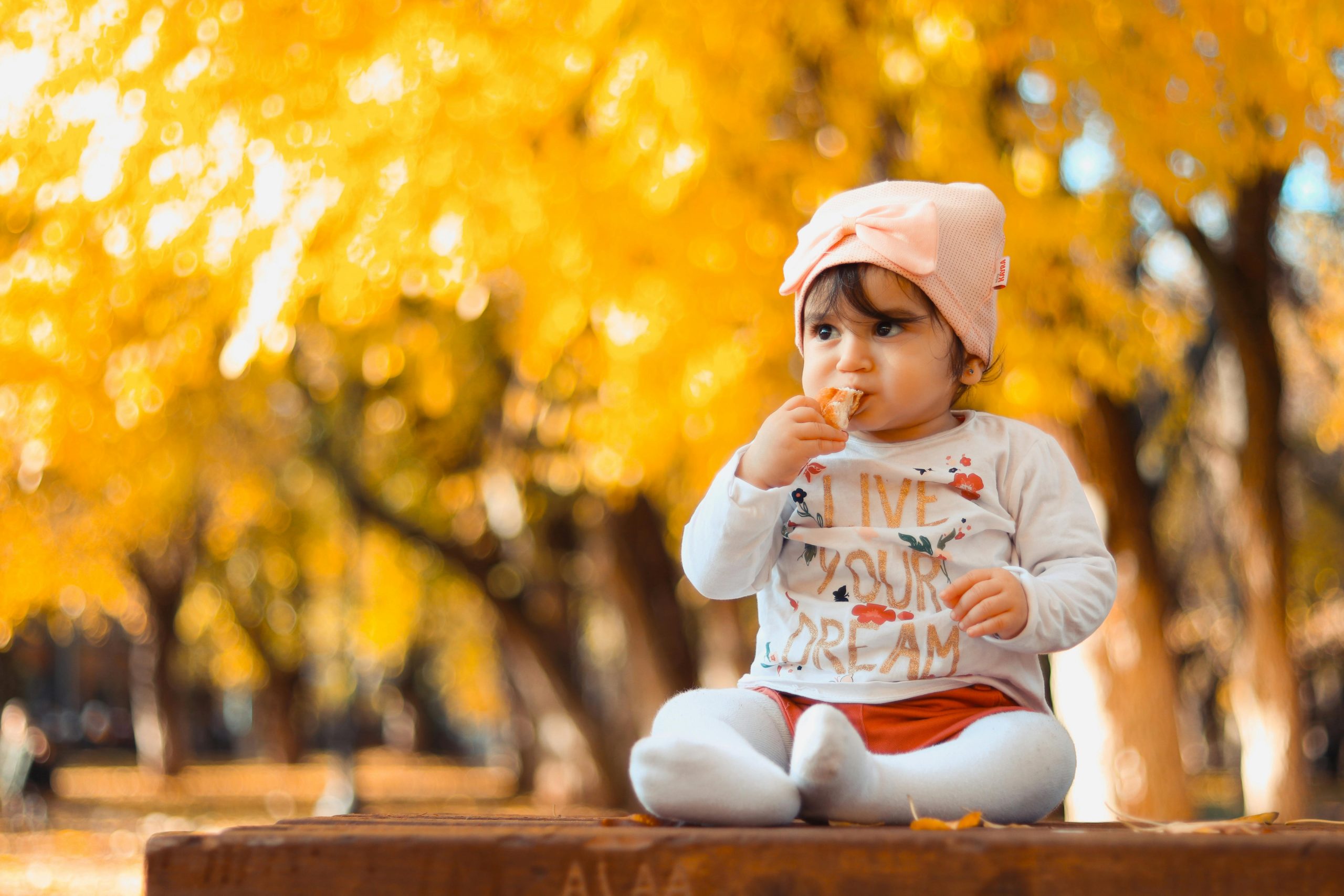 The Tiny Human Manual You Didn’t Get